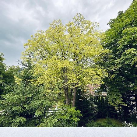 Puchberg Studio-Apartment プフベルク・アム・シュネーベルク エクステリア 写真